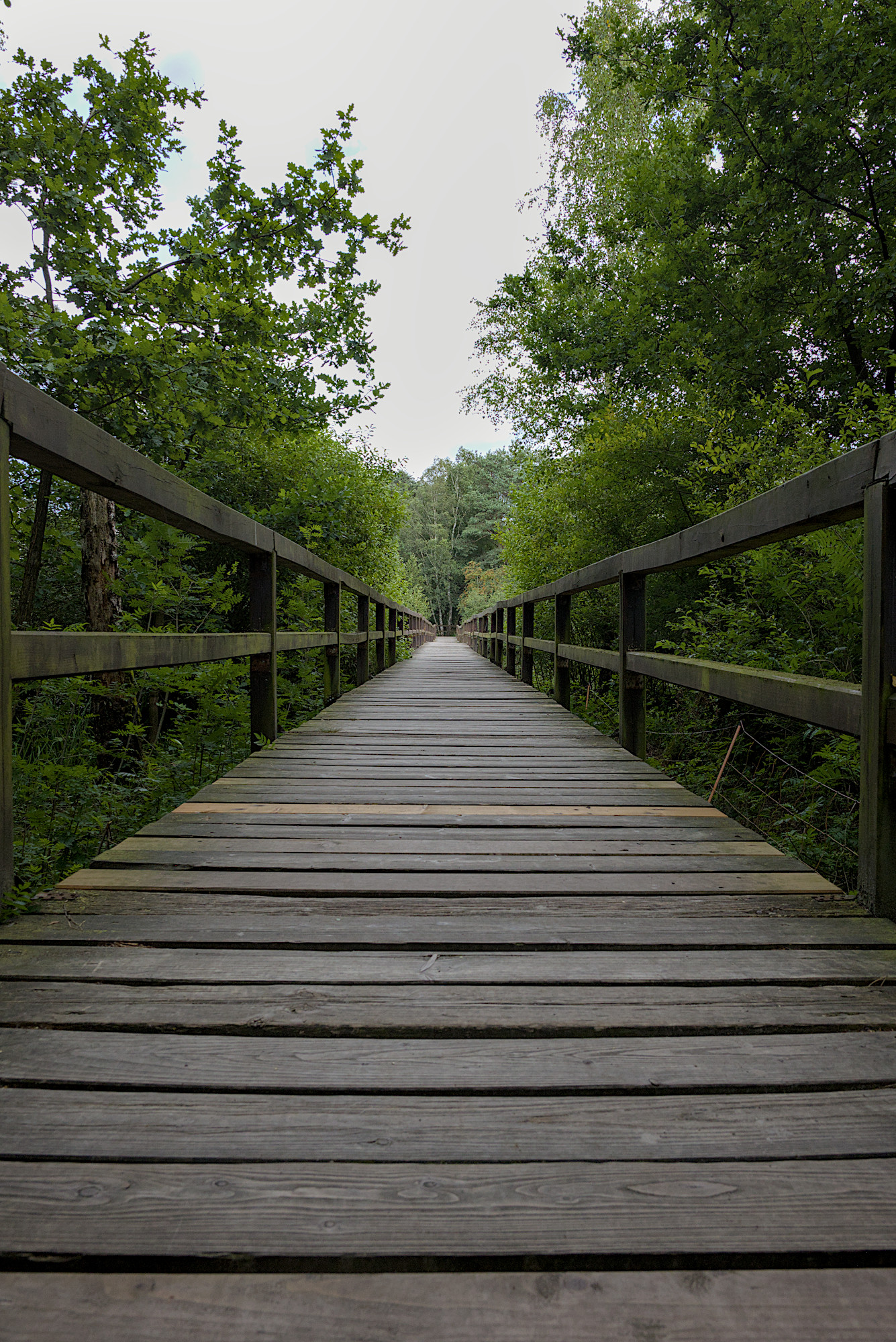 Brücke an der Thülsfelder Talsperre
